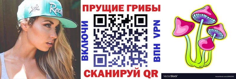 Псилоцибиновые грибы GOLDEN TEACHER Верхнеуральск